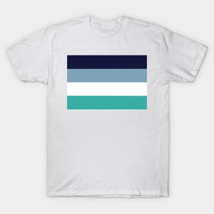 Oriented Aroace Pride Flag T-Shirt